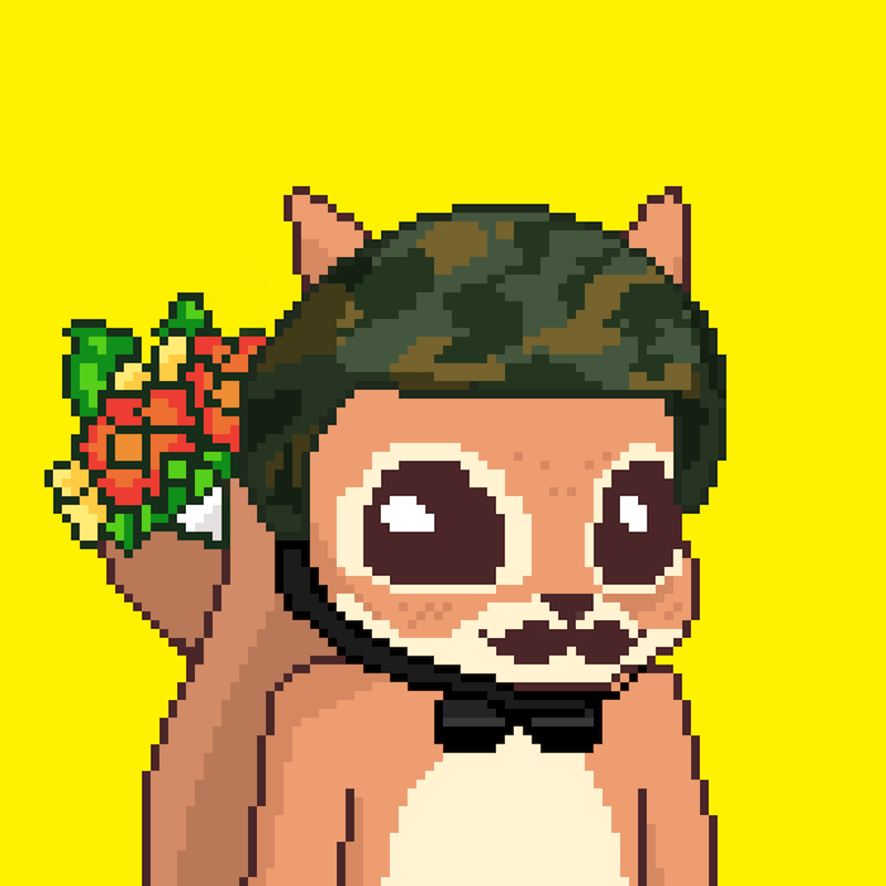 Pixel Squirrels #5925